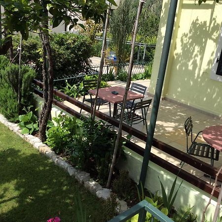 Apartments Simo Petrovac 外观 照片