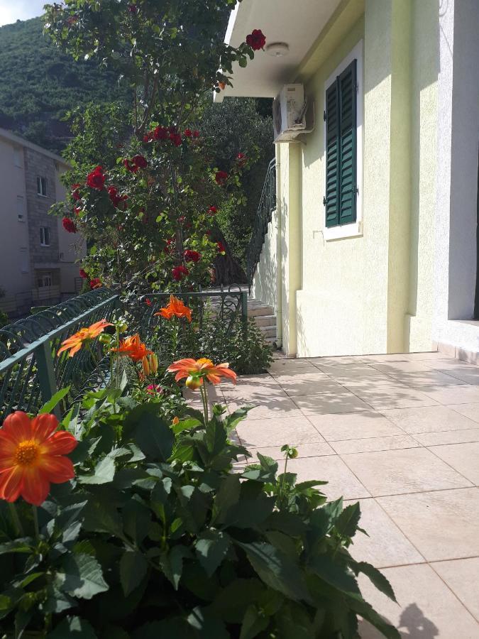 Apartments Simo Petrovac 外观 照片
