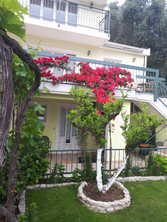 Apartments Simo Petrovac 外观 照片