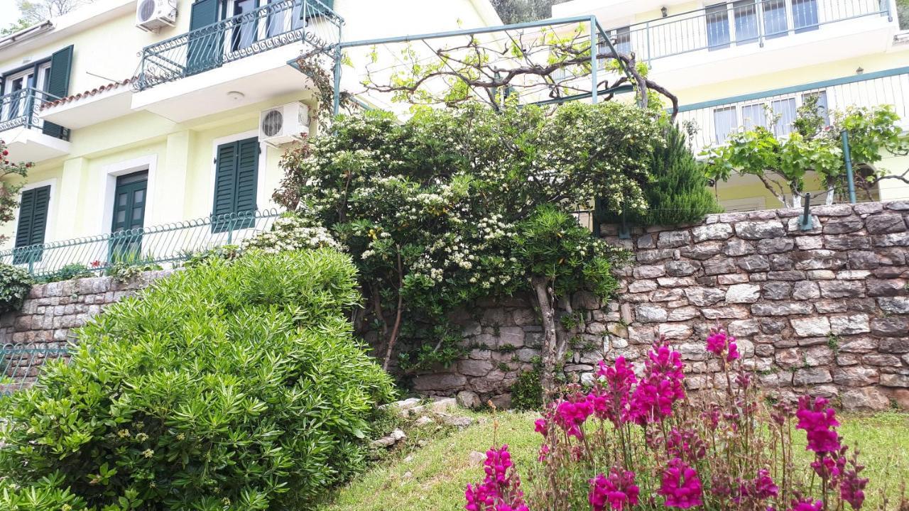 Apartments Simo Petrovac 外观 照片
