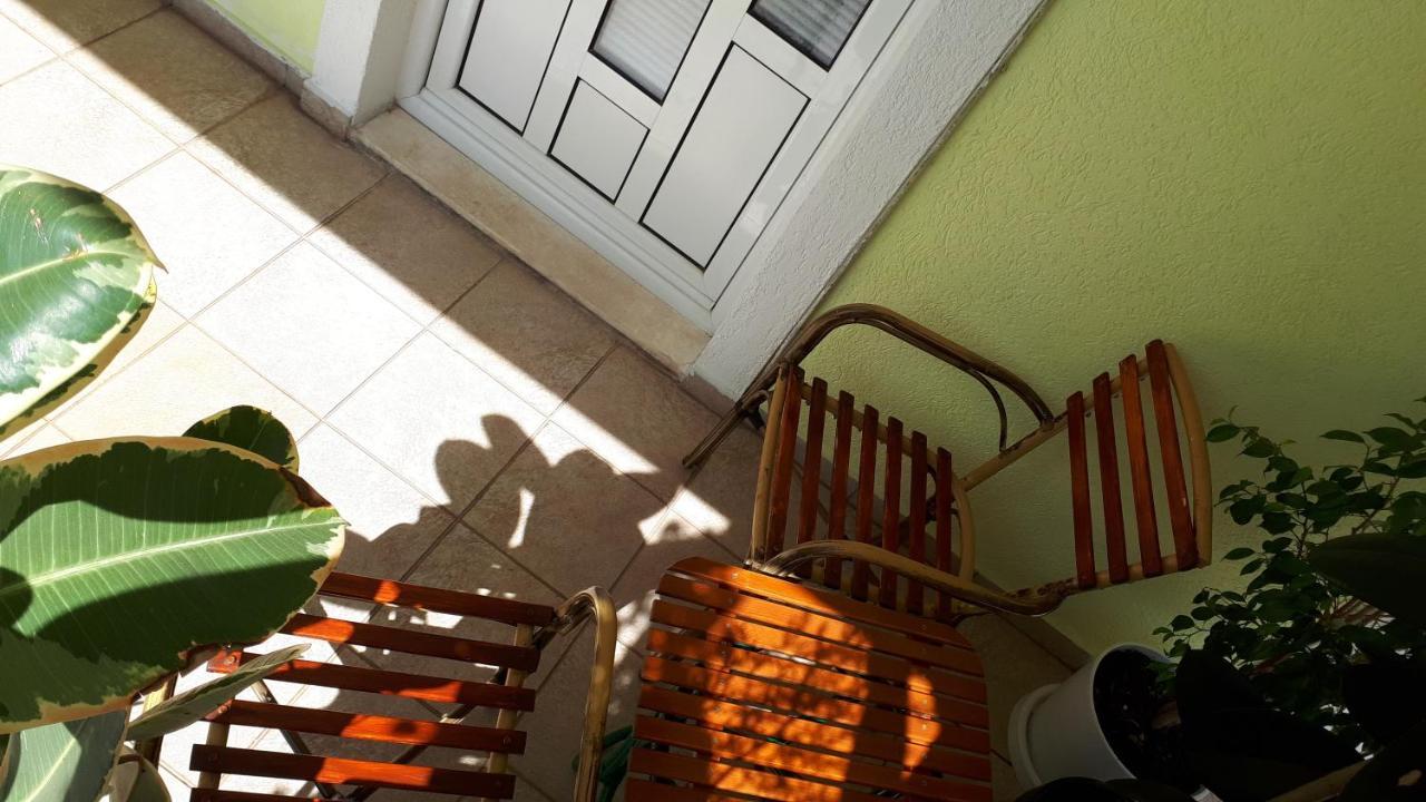 Apartments Simo Petrovac 外观 照片